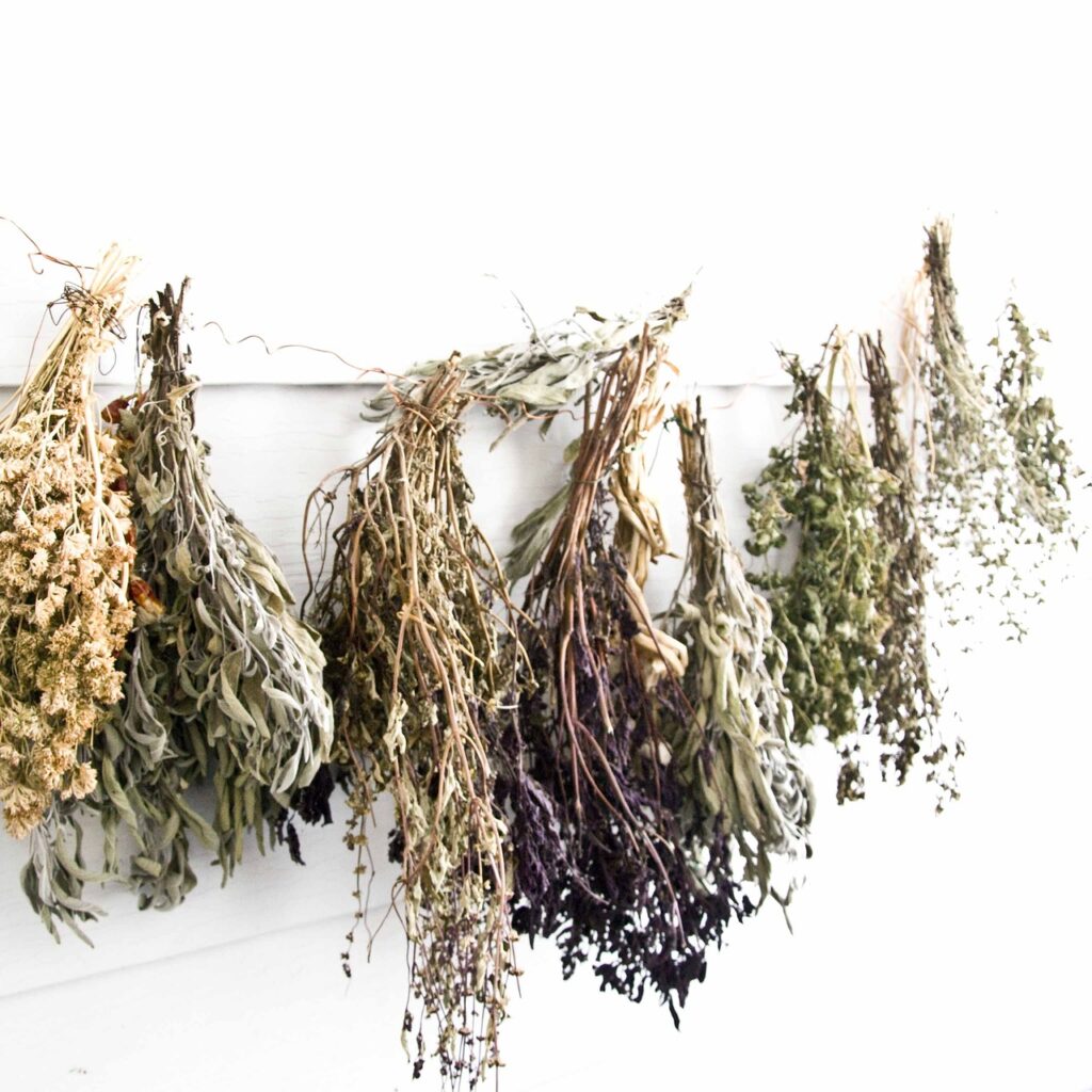Dried herbs used in natural handmade soap making